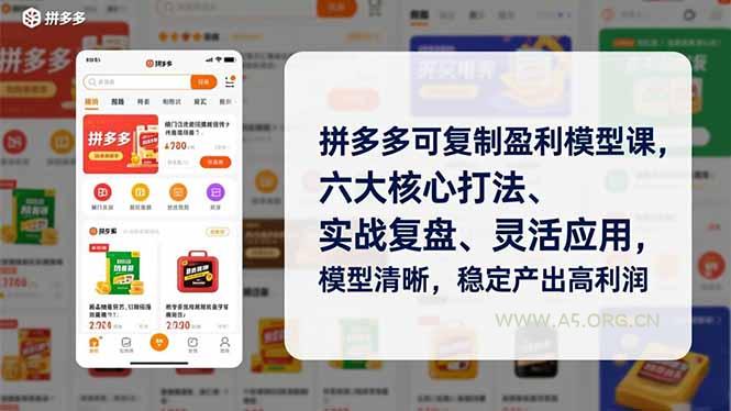 拼多多可复制盈利模型课，六大核心打法、实战复盘、灵活应用，模型清晰，稳定产出高利润-A5资源网