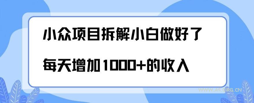 小众项目拆解，小白做好了每天可增加1000多的收入-A5资源网