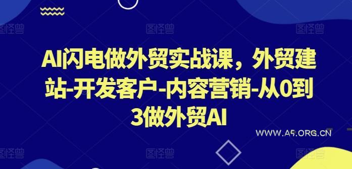 AI闪电做外贸实战课，​外贸建站-开发客户-内容营销-从0到3做外贸AI-A5资源网