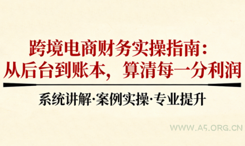 2025跨境电商财务实操指南-A5资源网