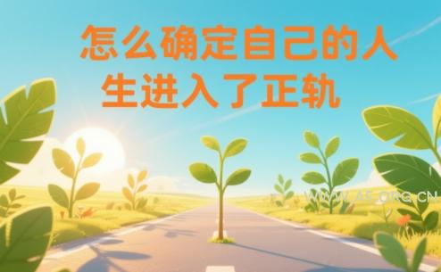 某公众号付费文章：怎么确定自己的人生进入了正轨？-A5资源网