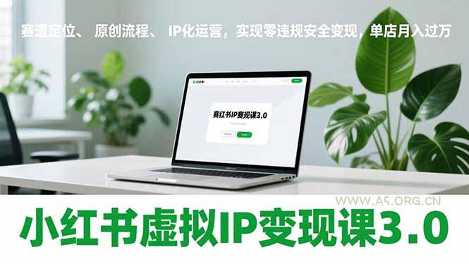 小红书虚拟IP变现课3.0,赛道定位、原创流程、IP化运营,实现零违规安全变现,单店月入过万-A5资源网