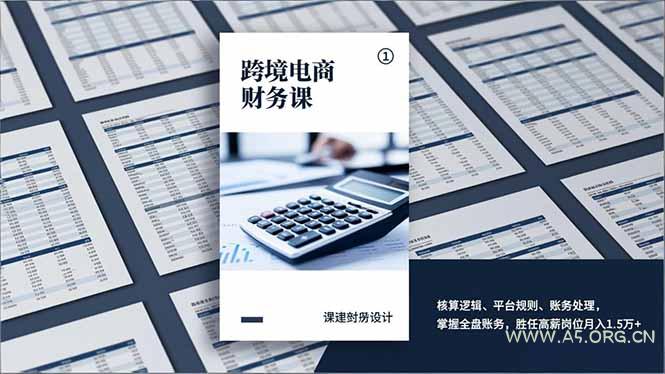 跨境电商财务课，核算逻辑、平台规则、账务处理，掌握全盘账务，胜任高薪岗位月入1.5万+-A5资源网
