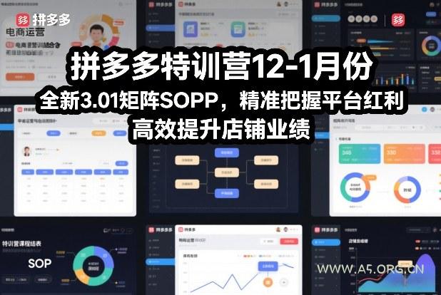 拼多多特训营12-1月份,全新3.01矩阵Sop,精准把握平台红利,高效提升店铺业绩 - A5资源网 拼多多特训营12-1月份,全新3.01矩阵Sop,精准把握平台红利,高效提升店铺业绩