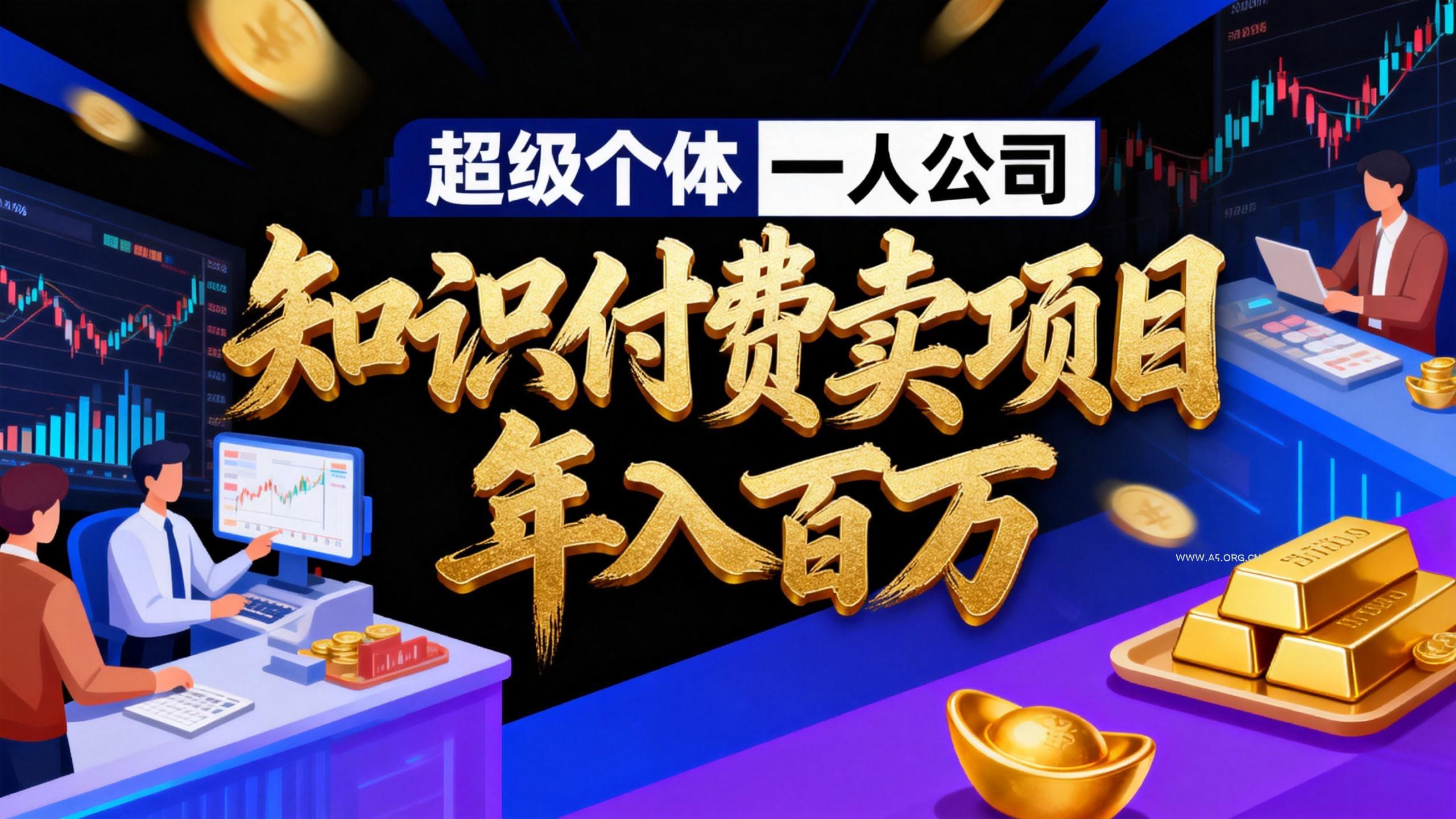 2026年“超级个体一人公司”私域卖项目年入百万，个人IP-精准引流-项目包装-转化成交-A5资源网