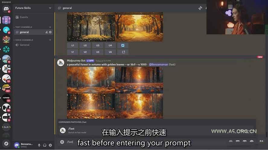 Midjourney AI图像创作课：提示词设计，风格探索，零基础掌握AI绘画核心技能 - A5资源网