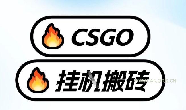 真全网独家CSGO挂G，最新玩法,单日捡漏1K+，不用电脑，不用打游戏【揭秘】-A5资源网