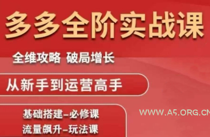 大炮·拼多多全阶实战课程(更新2026)-A5资源网