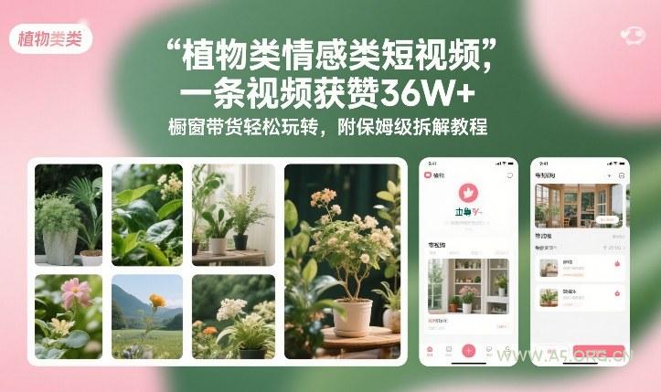 植物类情感类短视频，一条视频获赞36W+，橱窗带货轻松玩转，附保姆级拆解教程-A5资源网
