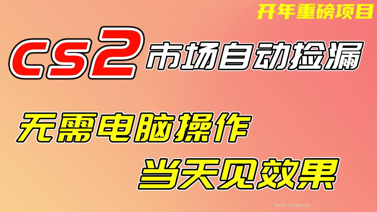 CS2市场挂机项，无需电脑操作，无需进入游戏，当天见效果，支持任何形式验证-A5资源网