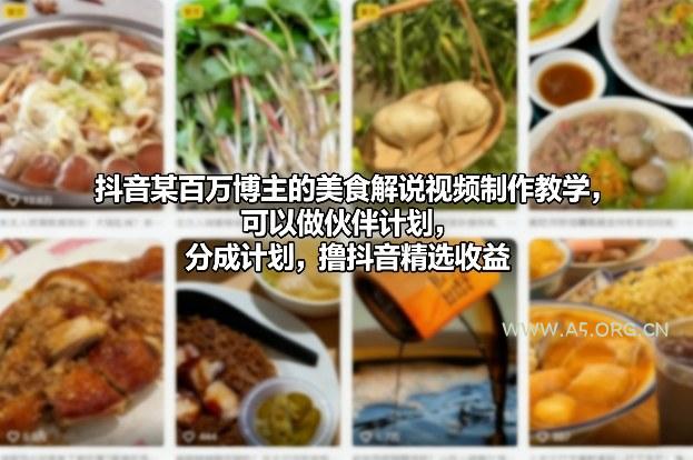 抖音某百万博主的美食解说视频制作教学，可以做伙伴计划，分成计划，撸抖音精选收益(更新)-A5资源网