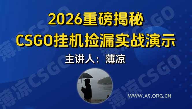 CSGO游戏挂机游戏搬砖最新升级,普通小白一部手机可日入300+当天见结果,支持验证-A5资源网
