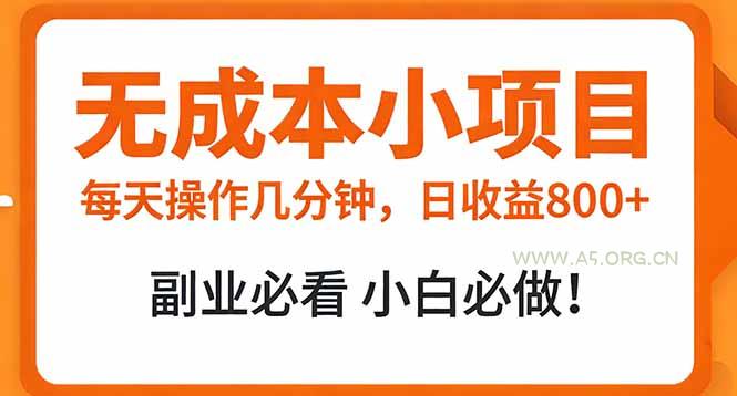 无成本小项目 每天操作几分钟，真实日收益800+ 副业必看 小白必做！-A5资源网