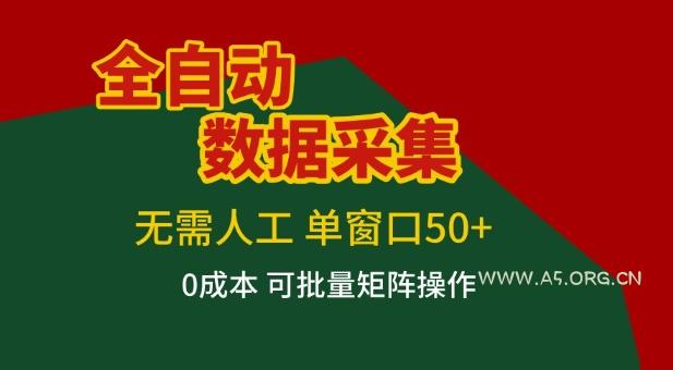 全自动数据采集项目，无需人工，单窗口可达50+收益，操作简单无难度，一个人也能轻松实现矩阵【揭秘】-A5资源网