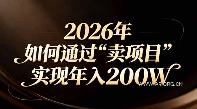 站在2026年的十字路口：一个普通人如何通过卖项目实现年入200万-A5资源网