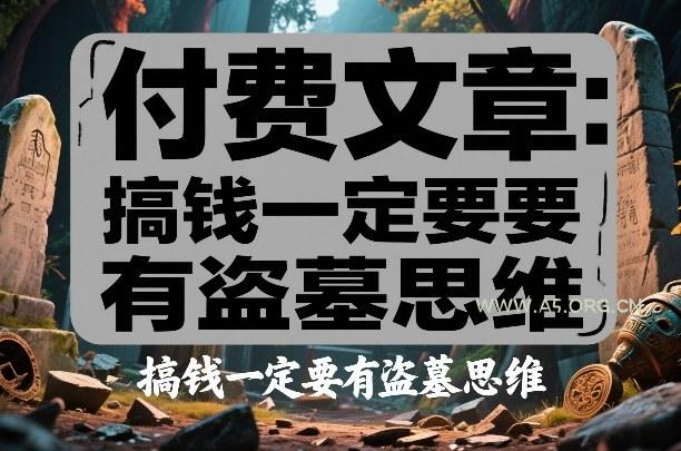 付费文章：搞钱一定要有盗墓思维-A5资源网