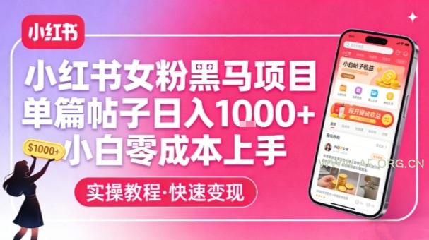 小红书女粉黑马项目，单篇帖子日入1k+，小白零成本上手-A5资源网