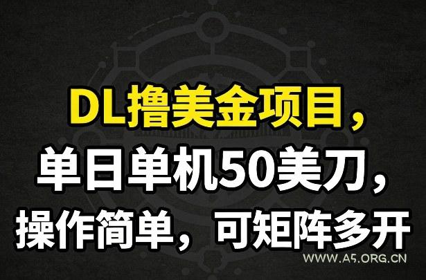 DL撸美金项目，单日单机50美刀，操作简单，可矩阵多开-A5资源网