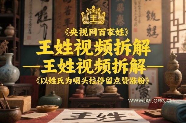 央视网百家姓–王姓视频拆解，以姓氏为噱头拉停留点赞涨粉-A5资源网