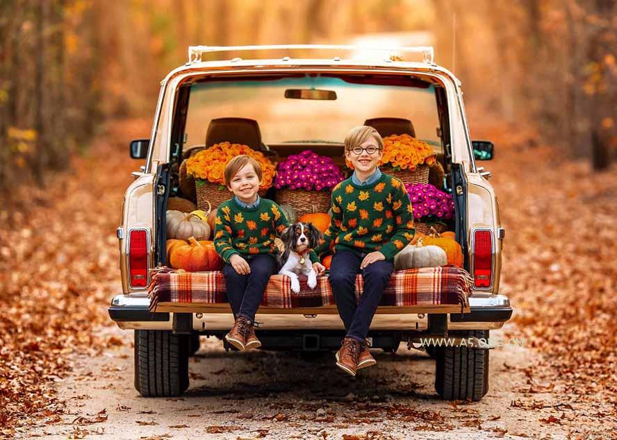 大师级GTG出品-老友记系列AI自适应预设The Friends Preset Collection - A5资源网