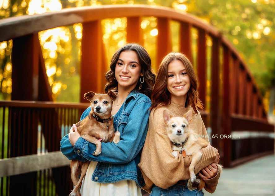 大师级GTG出品-老友记系列AI自适应预设The Friends Preset Collection - A5资源网