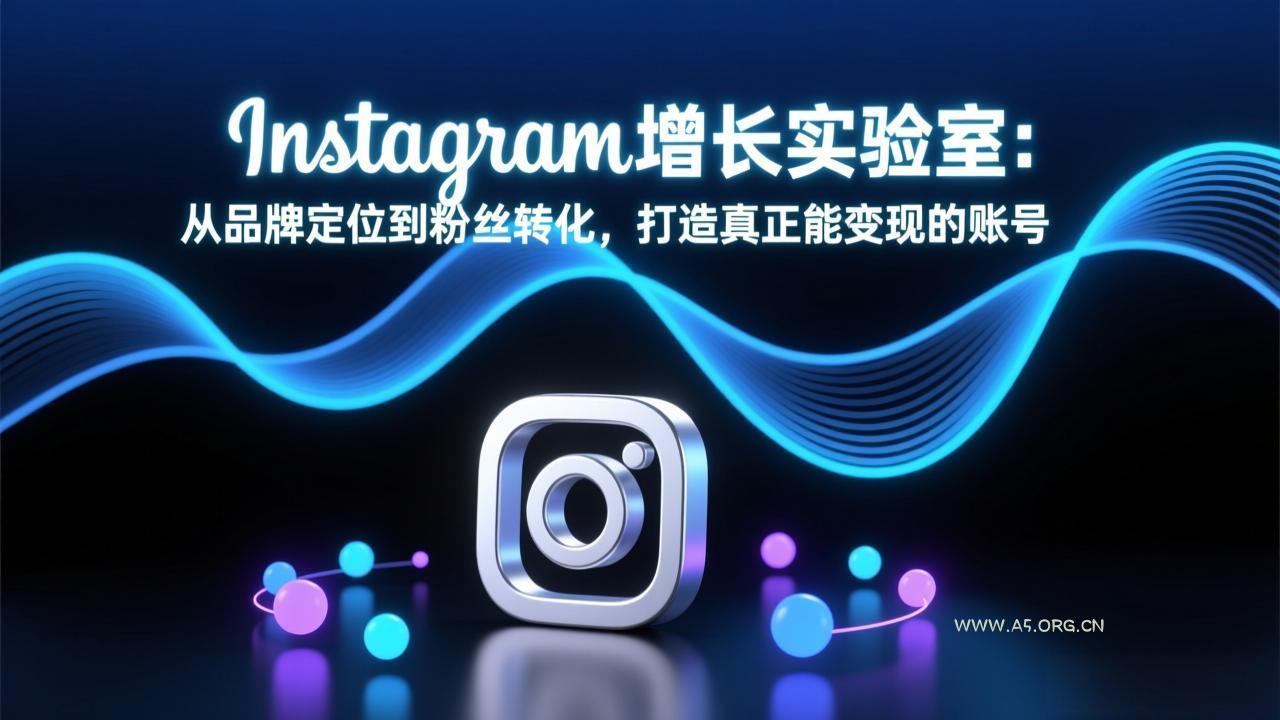 Instagram增长实验室：从品牌定位到粉丝转化，打造真正能变现的账号-A5资源网
