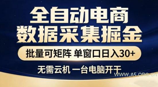 独家电商数据全自动采集项目,批量可矩阵,单窗口轻松日入3张+【揭秘】-A5资源网