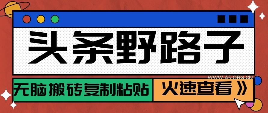 头条单账号日收益300+野路子玩法赛道，无脑搬砖复制粘贴，保姆级教程-A5资源网