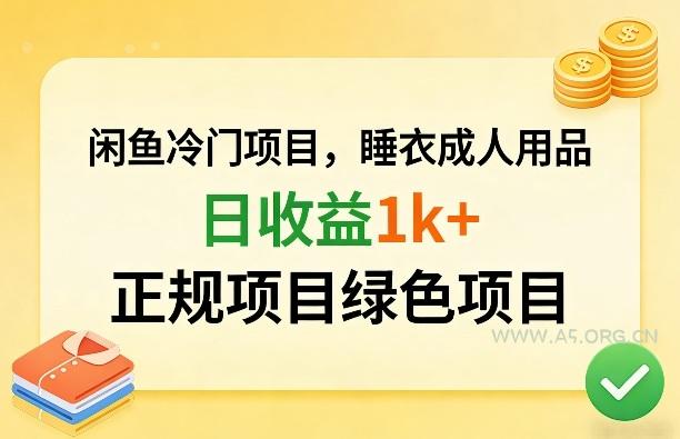 闲鱼冷门项目，情趣内衣成人用品，日收益1k+，正规项目绿色项目-A5资源网