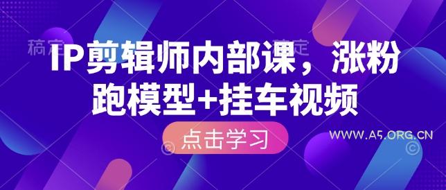 IP剪辑师内部课，涨粉跑模型+挂车视频(更新)-A5资源网
