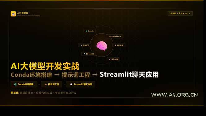 AI大模型开发实战：Conda环境搭建→提示词工程→Streamlit聊天应用，零基础到项目落地-A5资源网
