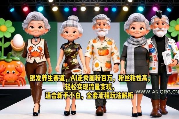 银发养生赛道，AI走秀圈粉百万，粉丝粘性高，轻松实现流量变现，适合新手小白，全套流程玩法解析-A5资源网