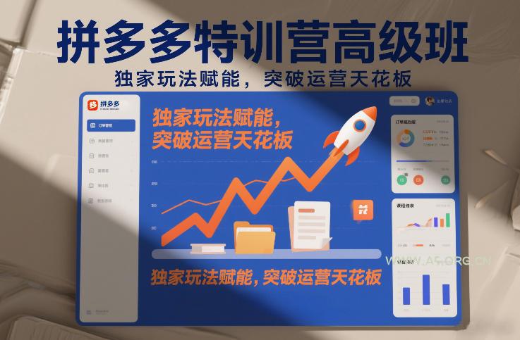 拼多多特训营高阶班,独家玩法赋能,突破运营天花板(更新26年3月27日)-A5资源网