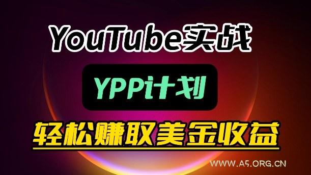 麦子甜带你玩转YouTube(YPP)：月入过1W实操课-A5资源网