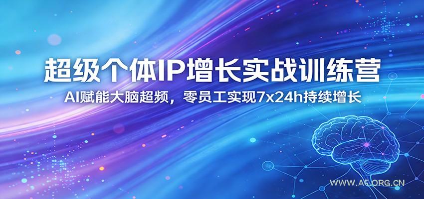 超级个体IP增长实战训练营：AI赋能大脑超频，零员工实现7x24h持续增长(更新)-A5资源网