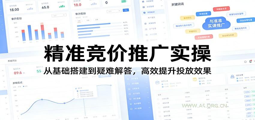 精准竞价推广实操：从基础搭建到疑难解答，高效提升投放效果-A5资源网