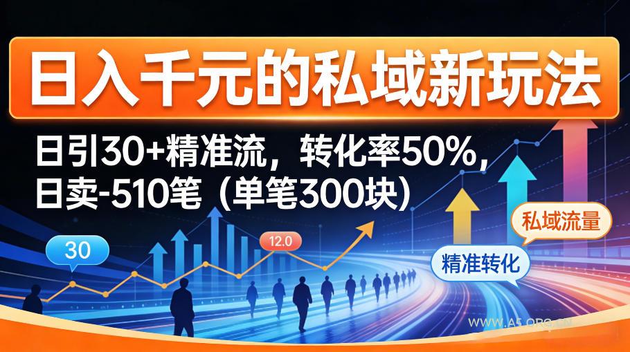 日入千米的私域新玩法：日引30＋精准流，转化率50%，日卖5-10笔(单笔300米)-A5资源网