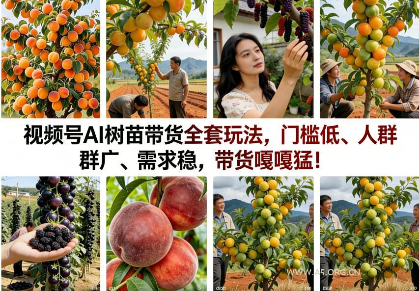 视频号AI树苗带货全套玩法，门槛低、人群广、需求稳，带货嘎嘎猛！(更新0401)-A5资源网