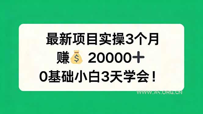 最新项目实操3个月，赚钱20000+，0基础小白3天学会！-A5资源网