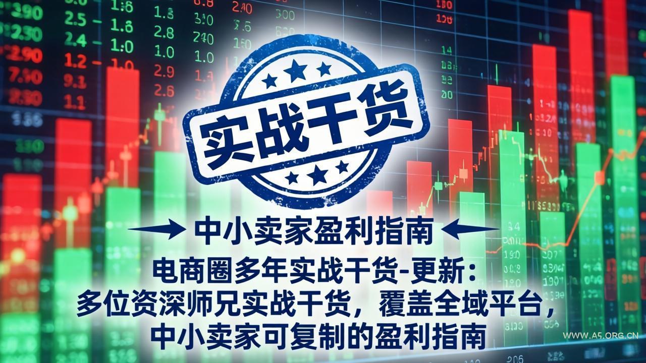 电商圈多年实战干货-更新4月：多位资深师兄实战干货，覆盖全域平台，中小卖家可复制的盈利指南-A5资源网