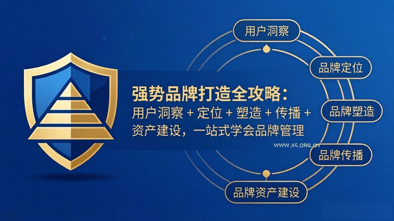 强势品牌打造全攻略：用户洞察 + 定位 + 塑造 + 传播 + 资产建设，一站式学会品牌管理-A5资源网