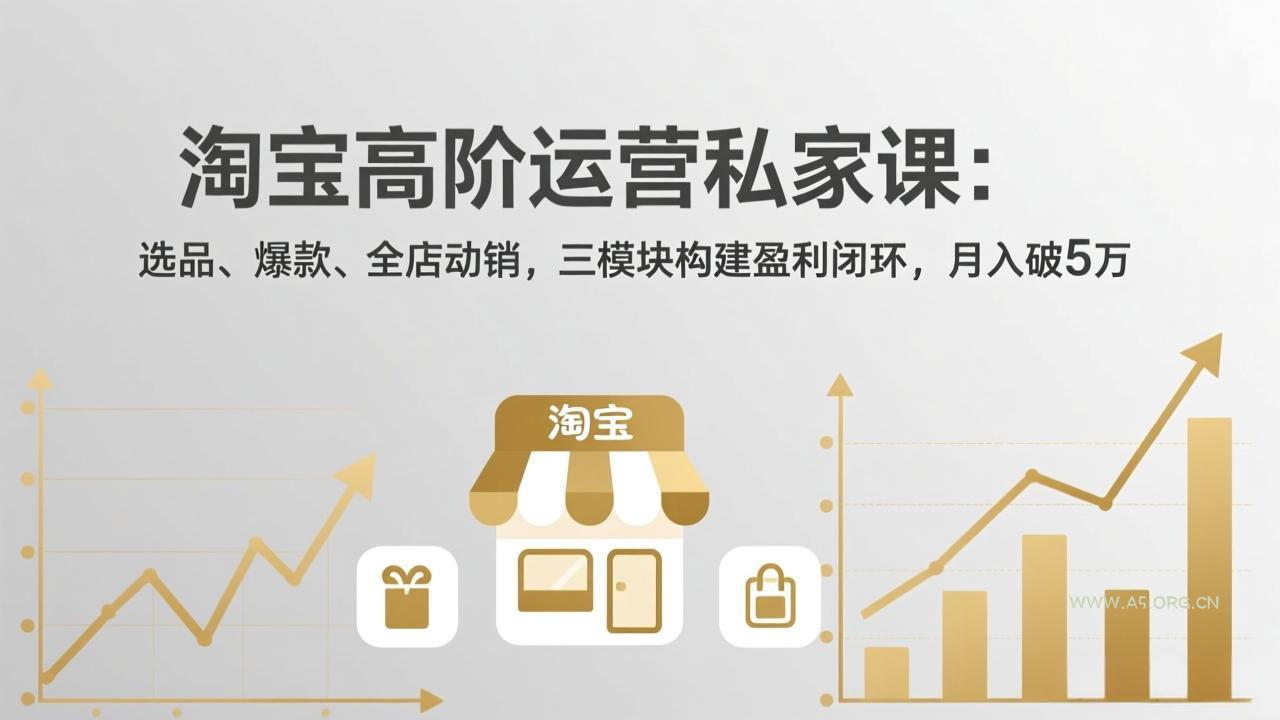 淘宝高阶运营私家课(更新26年4月-A5资源网