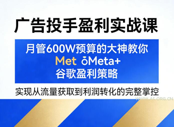 广告投手盈利实战课，月管600W预算的大神教你Meta+谷歌盈利策略，实现从流量获取到利润转化的完整掌控-A5资源网