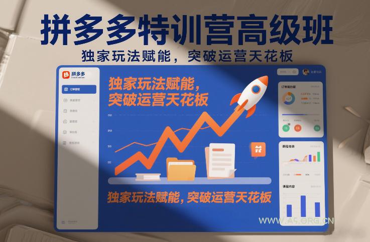 拼多多特训营高阶班，独家玩法赋能，突破运营天花板(更新26年4月10日)-A5资源网