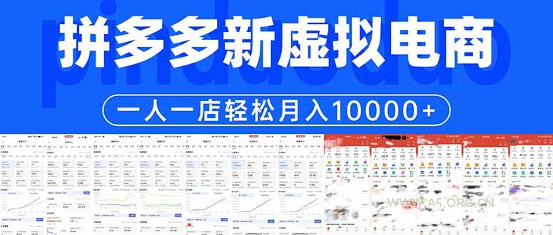 拼多多虚拟电商一人一店轻松月入10000+-A5资源网