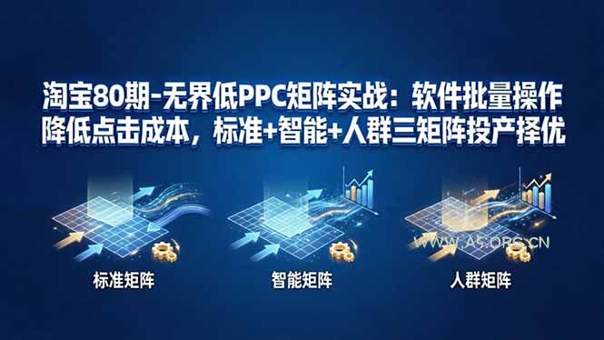 淘宝80期-无界低PPC矩阵实战：软件批量操作降低点击成本，标准+智能+人群三矩阵投产择优-A5资源网