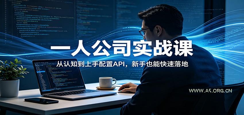一人公司实战课:从认知到上手配置API,新手也能快速落地-A5资源网