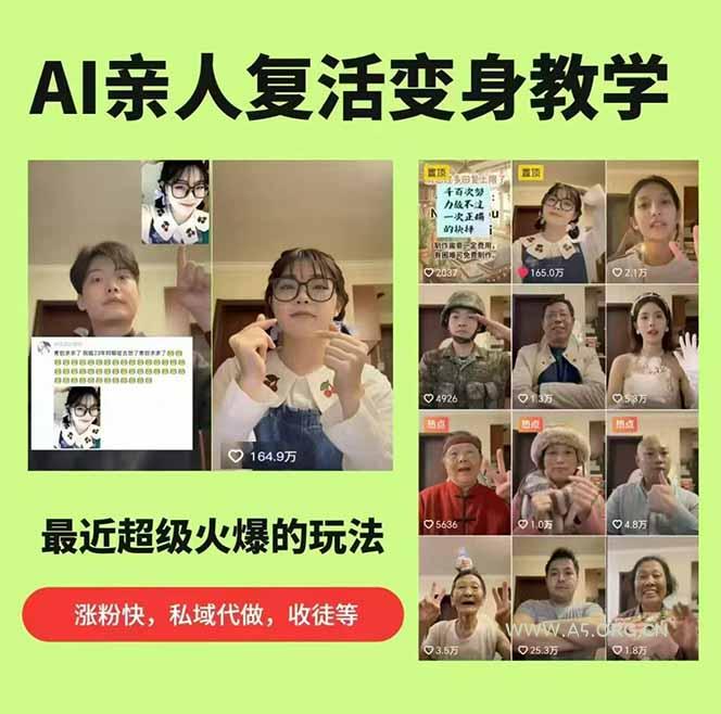 思念亲人AI视频教程：亲人复活+人物替换技术，条条几万赞爆款作品制作 - A5资源网
