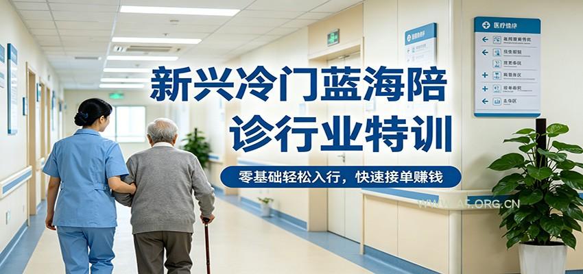 新兴冷门蓝海陪诊行业特训，零基础轻松入行，快速接单赚钱-A5资源网