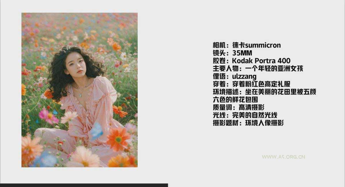 AI摄影商业视觉Midjourney+Stable Diffusion训练营，教程+软件+模型 - A5资源网